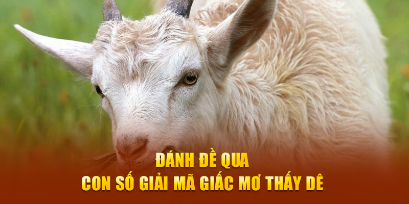 Đánh đề qua con số giải mã giấc mơ thấy dê